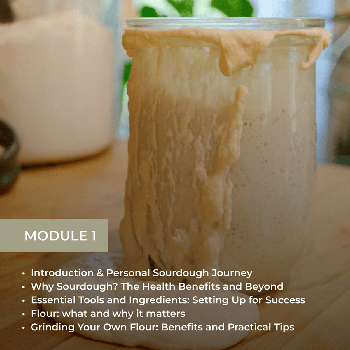 The Art of Sourdough Baking (Digital Course)