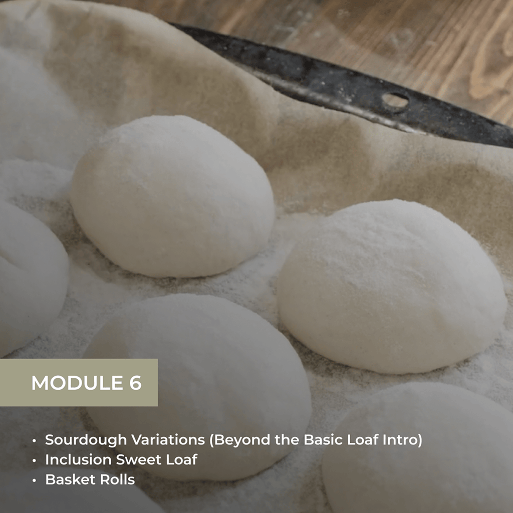 The Art of Sourdough Baking (Digital Course)