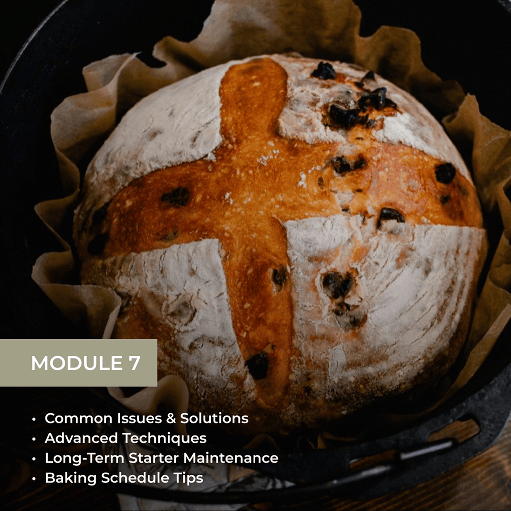 The Art of Sourdough Baking (Digital Course)