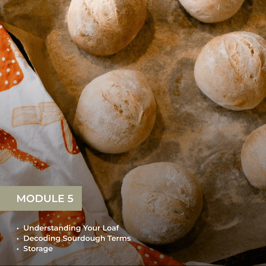 The Art of Sourdough Baking (Digital Course)