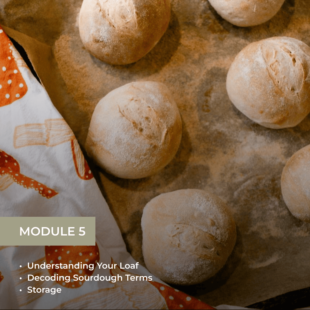 The Art of Sourdough Baking (Digital Course)