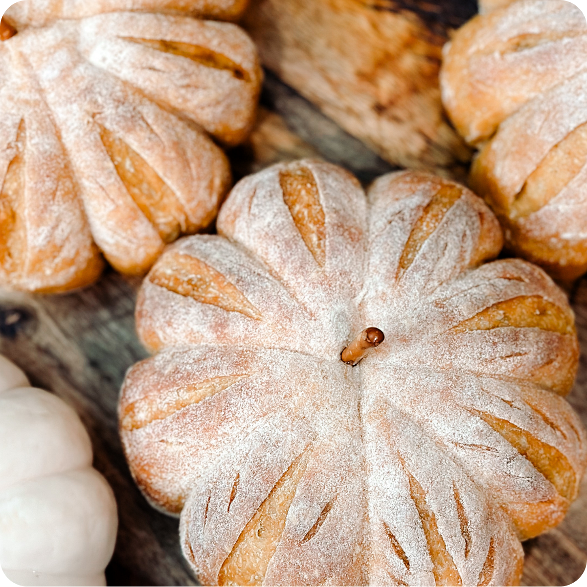 A Taste of Sourdough Cookbook (eBook)
